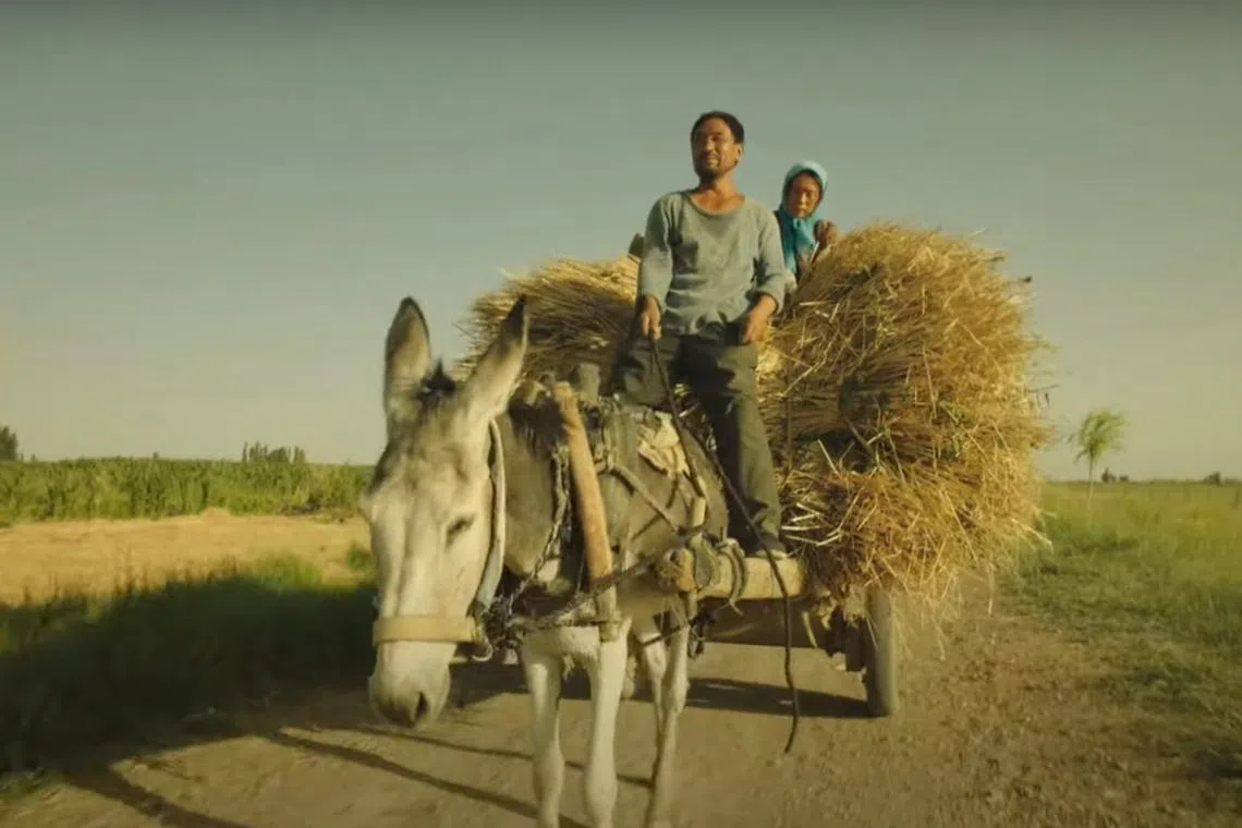 The Chinese film Return To Dust tells the story of how Ma and Cao grow to love each other as they build their own home and eke out a living. 