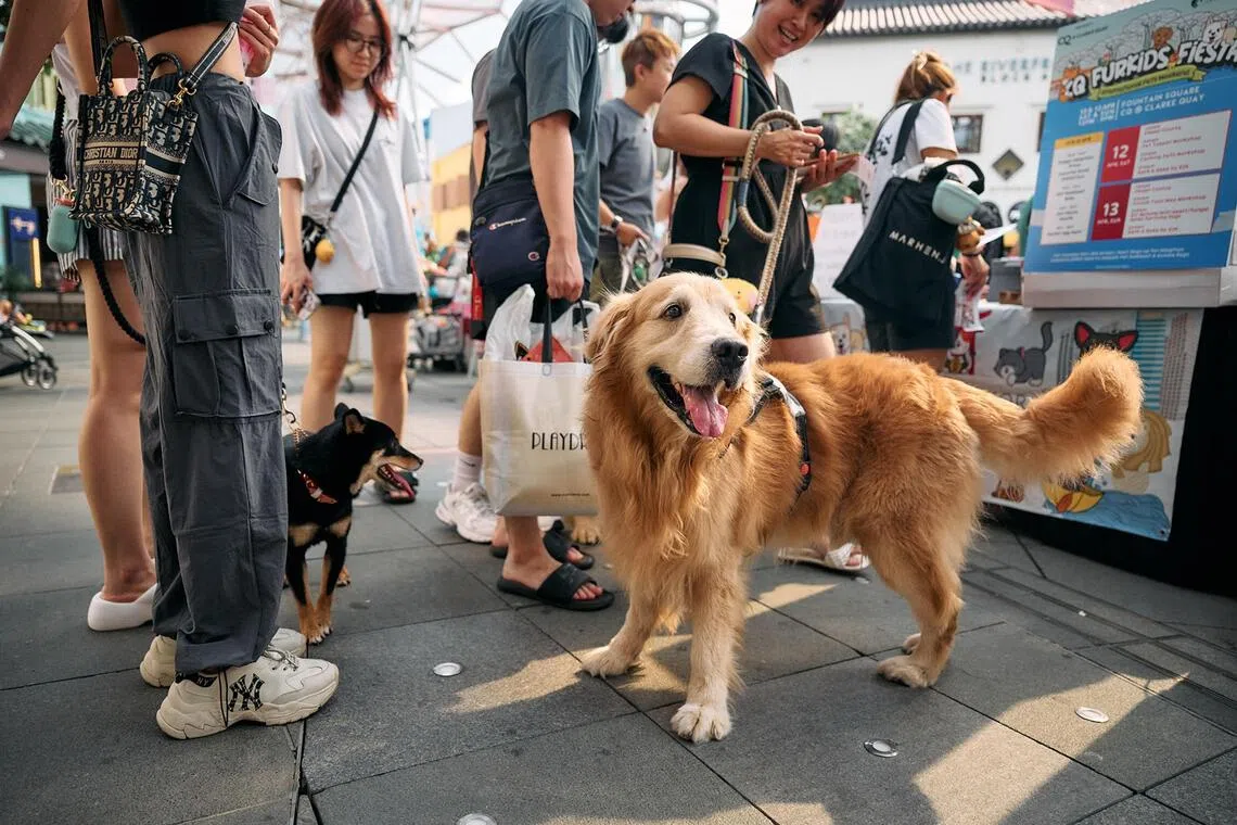 Clarke Quay is inviting pawrents and their fur kids to its Jiak By The Quay pop-up event.