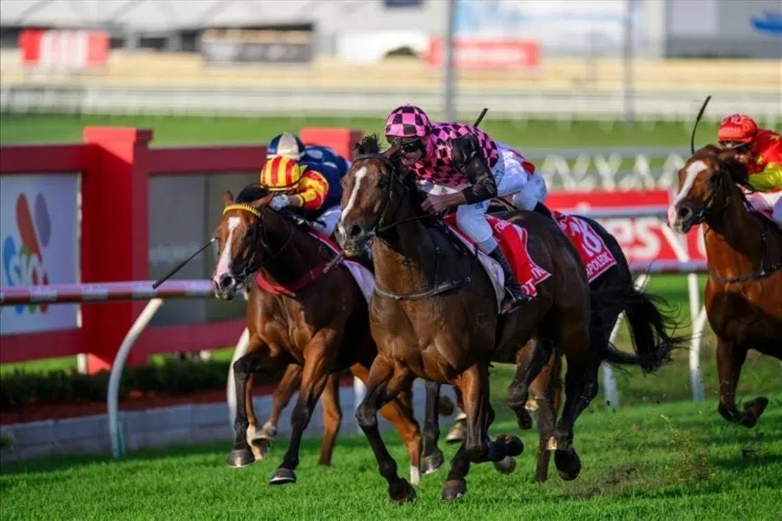 The evergreen Rothfire (Brad Rawiller) bouncing back to the winner's circle in style in the Group 1 Doomben 10,000 on May 16.
