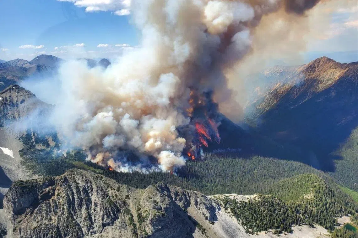 TOPSHOT - This undated handout photo provided by the British Columbia Wildfire Service on July 9, 2023, shows an aerial view of the Texas Creek wildfire, located approximately 27km (16.78 miles) south of Lillooet, British Columbia, Canada. The number of forest fires continues to rise in Canada, climbing on July 7, 2023, to more than 670 blazes -- more than 380 of them out of control -- with a long and difficult summer ahead. With nine million hectares (22.2 million acres) already gone up in smoke -- 11 times the average for the last decade -- the absolute annual record set in 1989 has been surpassed. (Photo by BC Wildfire Service / AFP) / RESTRICTED TO EDITORIAL USE - MANDATORY CREDIT "AFP PHOTO / BC Wildfire Service / Handout" - NO MARKETING NO ADVERTISING CAMPAIGNS - DISTRIBUTED AS A SERVICE TO CLIENTS