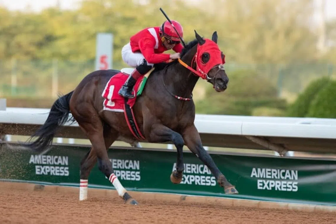 Ancestral Land (Joel Rosario) winning the Riyadh Dirt Sprint Qualifier (1,200m) at King Abdulaziz racecourse on Jan 25, 2025. He was then trained by Jimmy Jerkens and has since moved to trainer Sultan bin Jalal and will be ridden by Nawaf Almudiani in the King Khaled University Cup (1,400m) on Jan 3.