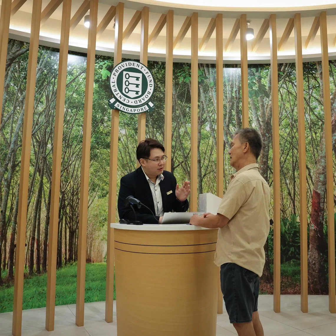 The new scheme is meant to complement, not replace, the existing CPF Investment Scheme which currently allows members to choose over 700 products on their own.