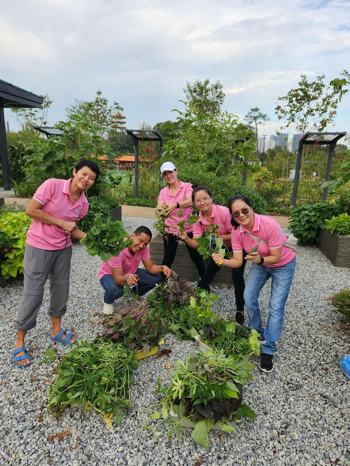 Edible Gardening at the Kitchen Garden takes place every Wednesday.