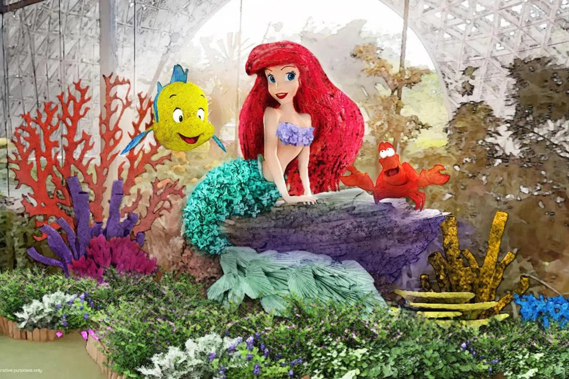 Disney and Pixar characters, like The Little Mermaid's Ariel and Flounder, will be presented as topiaries at Gardens By The Bay's Floral Fantasy beginning from Dec 1 to March 31, 2025.
