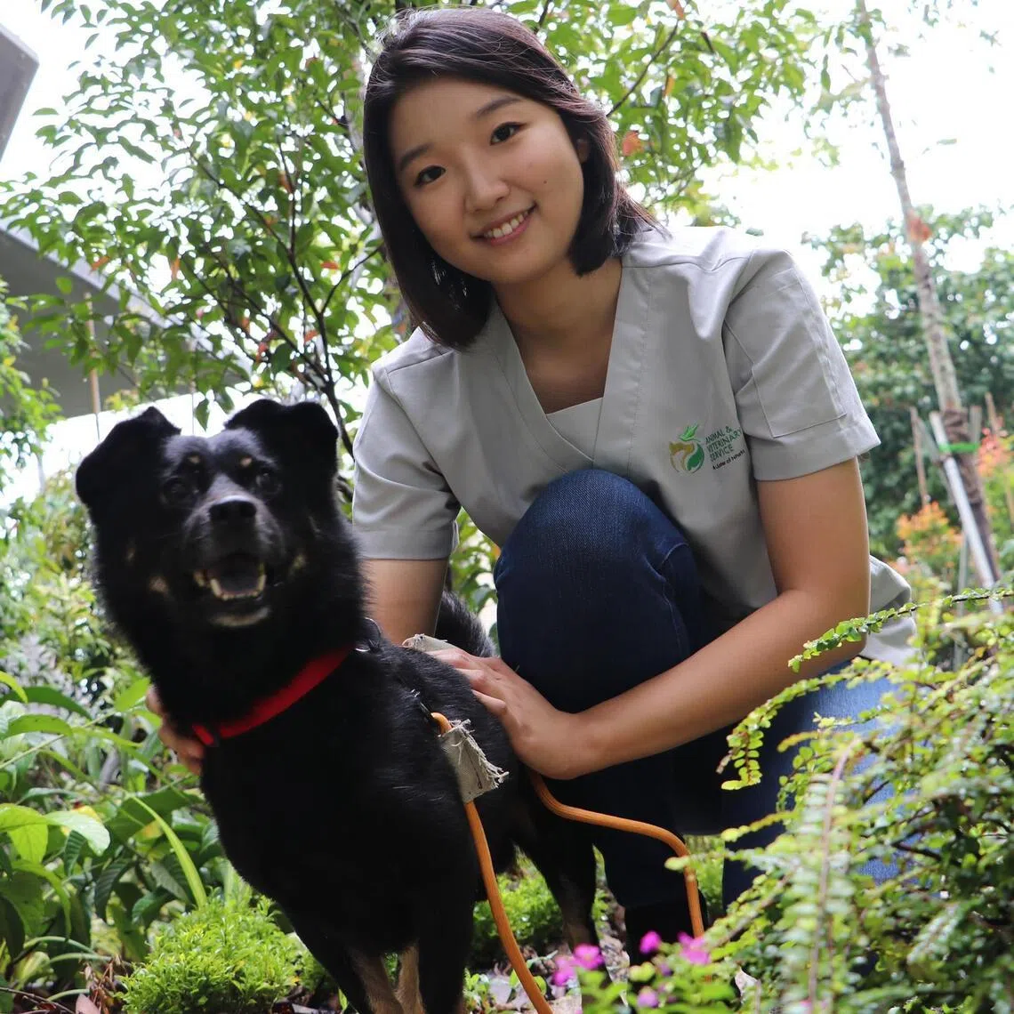 Dr Lee Heejun is a veterinarian for the Animal & Veterinary Service.