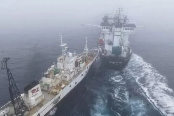 Activist ship rams Norwegian krill trawler in Antarctic