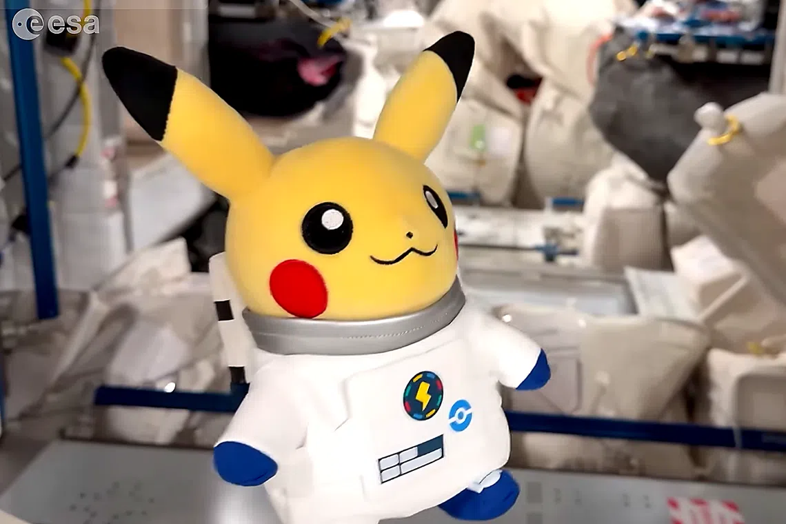 The plush space traveller was at the orbiting laboratory from April 11 to June 17 with crew members from the European Space Agency.