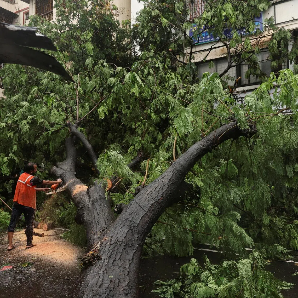 A worker clearing a fallen tree after heavy rainfall in Mumbai, India, on July 5, 2026.