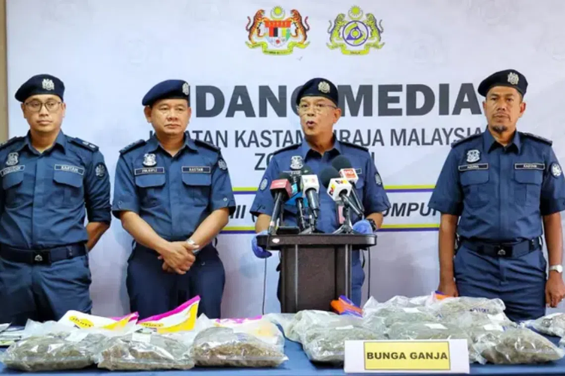 The drugs were hidden in cat and dog food packages, as well as snacks, to evade authorities.