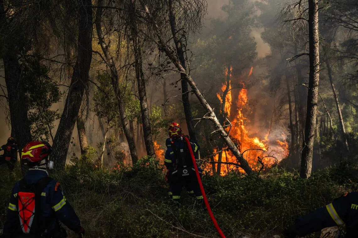 Three firefighters died in the line of duty while fighting the wildfires.