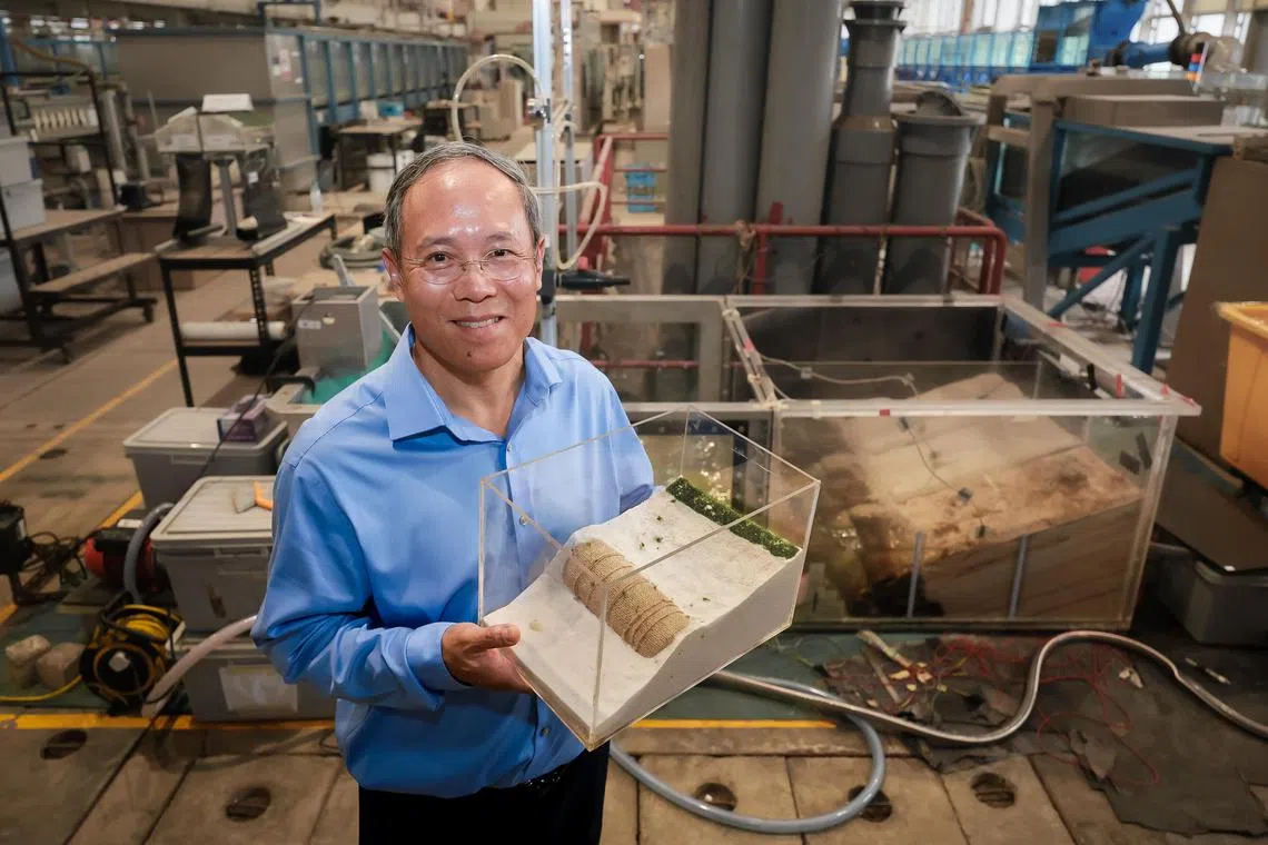 Prof Chu Jian with his model of the beam at a shoreline. 