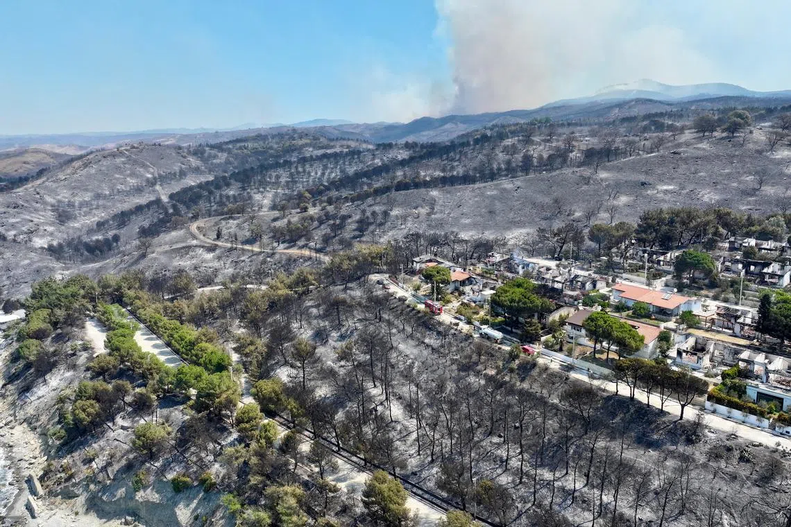 Wildfires across Turkey’s west have damaged some 200 homes, and victims were provided alternative accommodation.