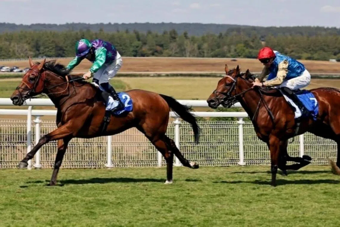 Enfjaar - The Roger Varian-trained Enfjaar (Ray Dawson) winning the Group 3 Glorious Stakes (2,400m) at Goodwood on Aug 1.

PHOTO: RACING AND SPORTS