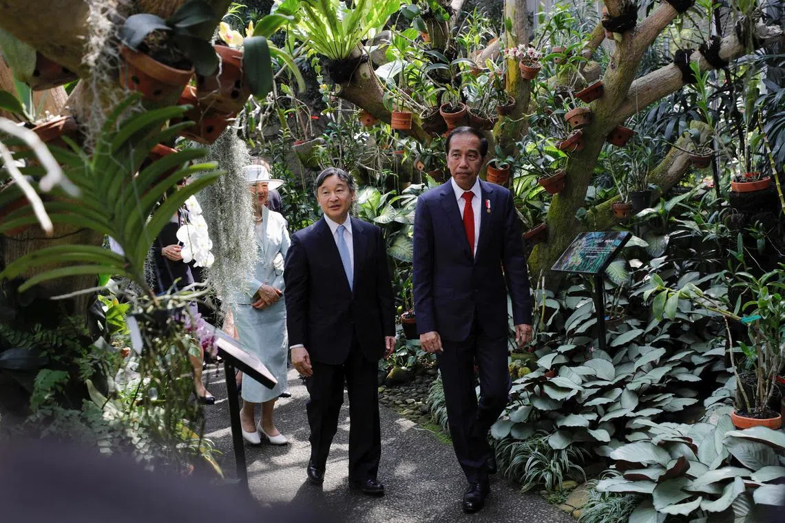 Indonesian President Joko Widodo and Japan's Emperor Naruhito walk during their visit to Bogor Botanical Gardens along with Empress Masako and First Lady Iriana Widodo, in Bogor, Indonesia, June 19, 2023. REUTERS/Willy Kurniawan/Pool