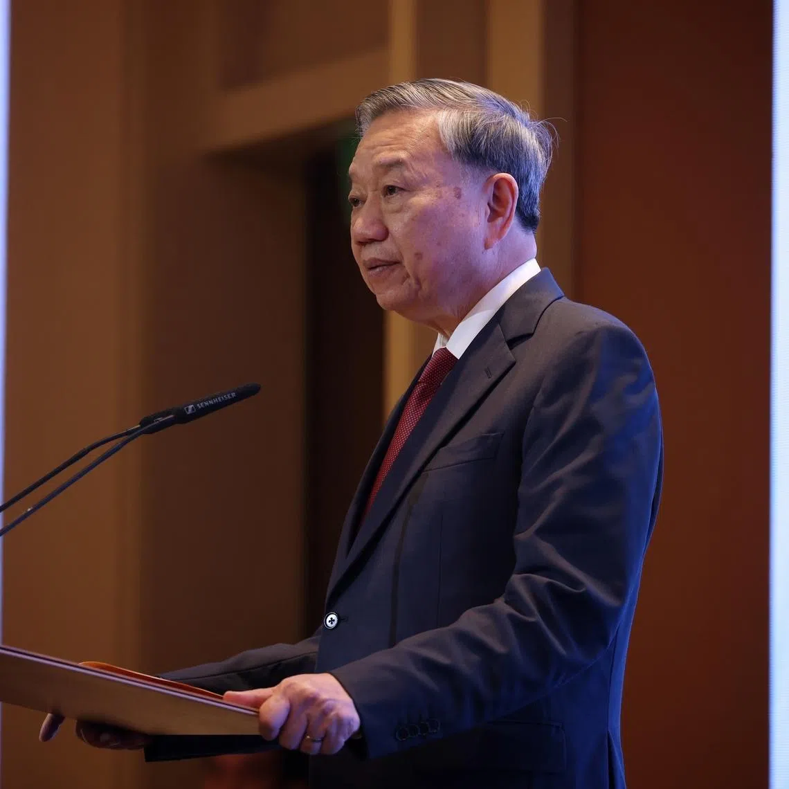 Vietnamese President To Lam will also meet Prime Minister and Finance Minister Lawrence Wong on May 29.