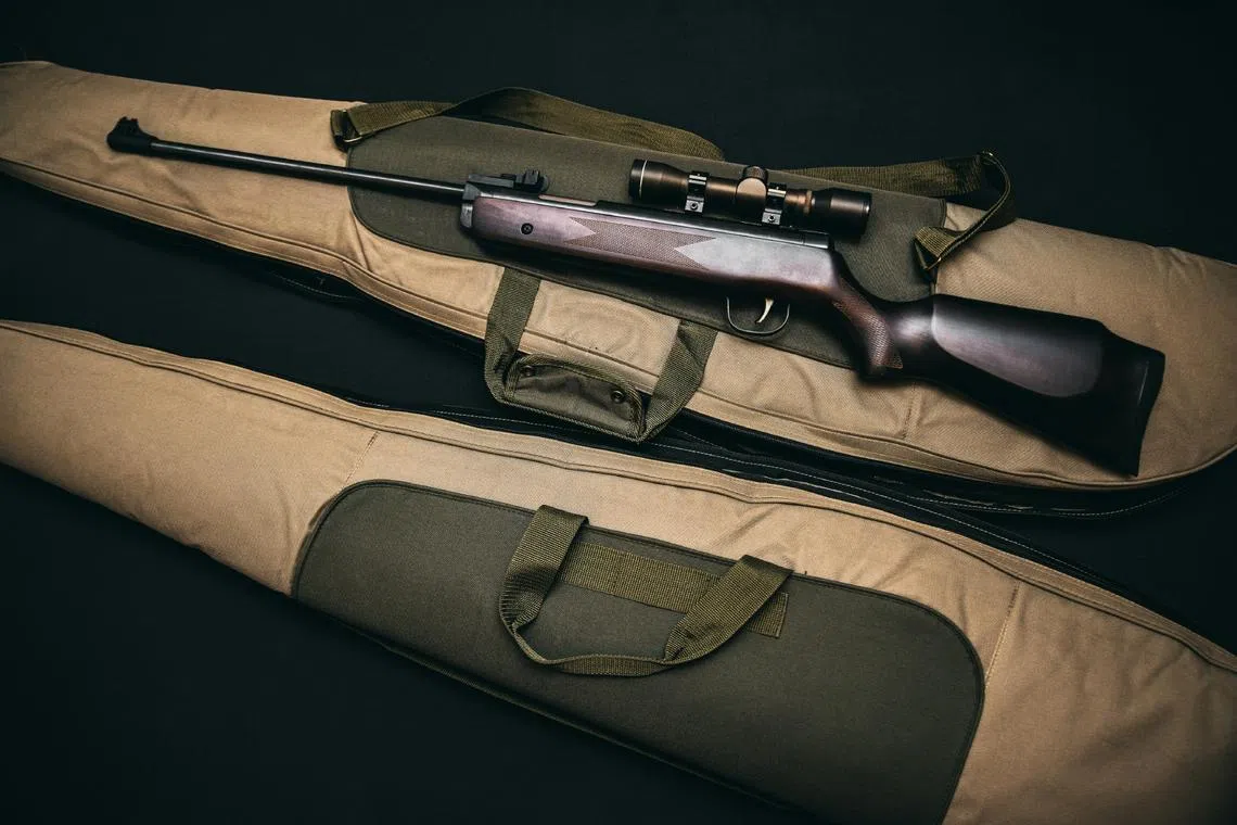 The dog stepped on and accidentally discharged a gun left on the backseat of a pickup truck. 