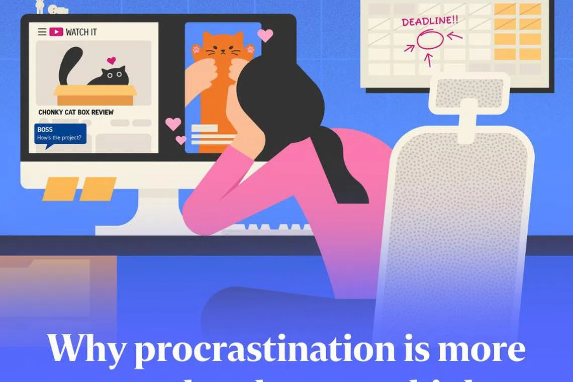 Latest Jobs News Headlines Top Stories Today The Straits Times