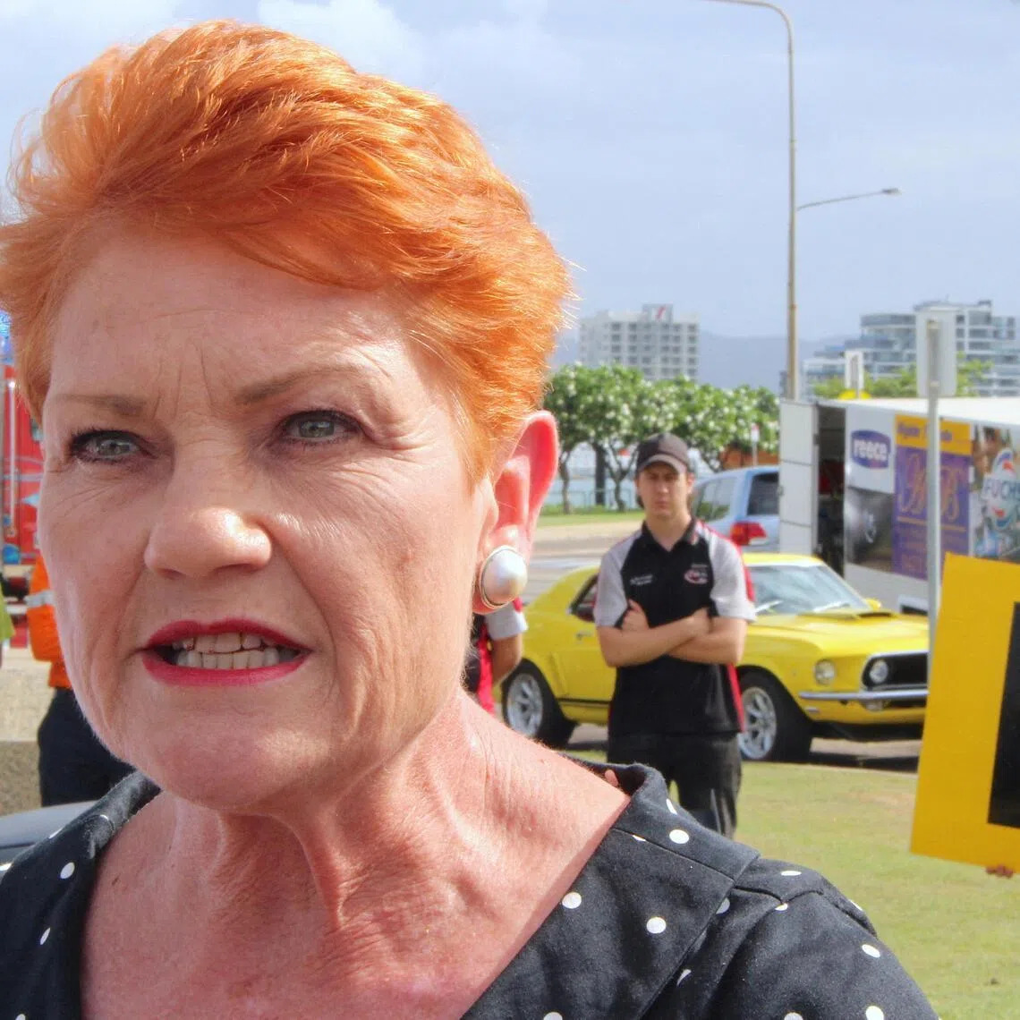Senator Pauline Hanson's One Nation recorded 22 per cent in a Newspoll published in The Australian newspaper on Jan 19, up from 15 per cent in the prior survey.