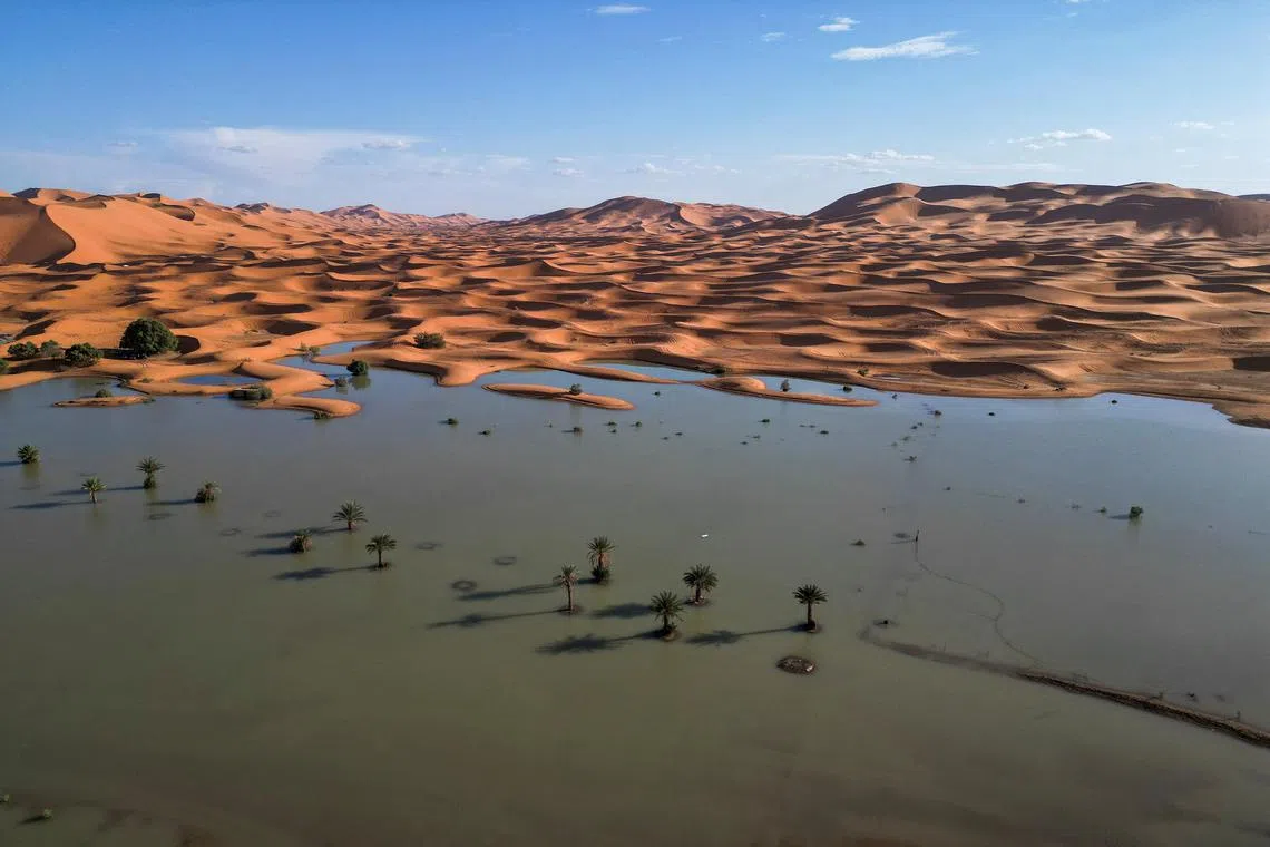 A drone view shows sand dunes and palm trees partially covered by floodwaters in Merzouga, Morocco.