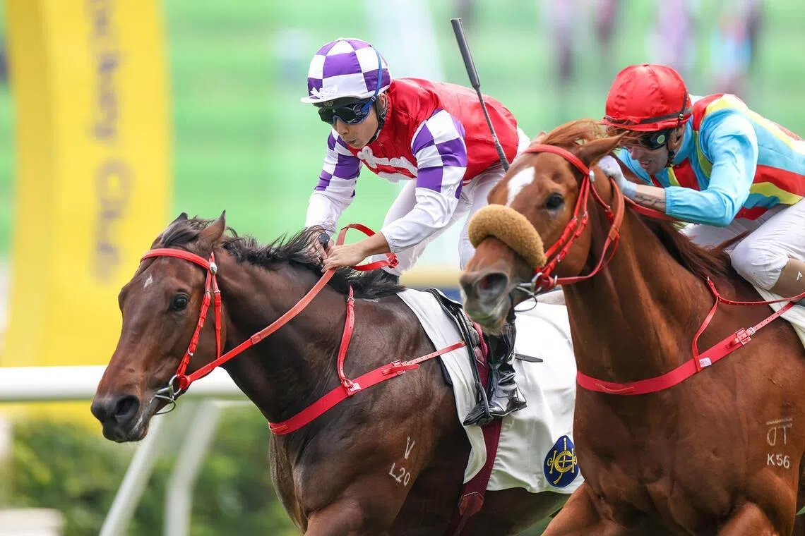 hkprev18 - Embrace Aberdeen (Matthew Poon, checked cap) scoring a fighting win from Aurio (James Orman) on debut in the Carnarvon Handicap, a Class 4 race (1,200m) at Sha Tin on Dec 7. The Class 4 over 1,400m at Sha Tin on Jan 18 maps well for the Frankie Lor-trained All Too Hard three-year-old.

