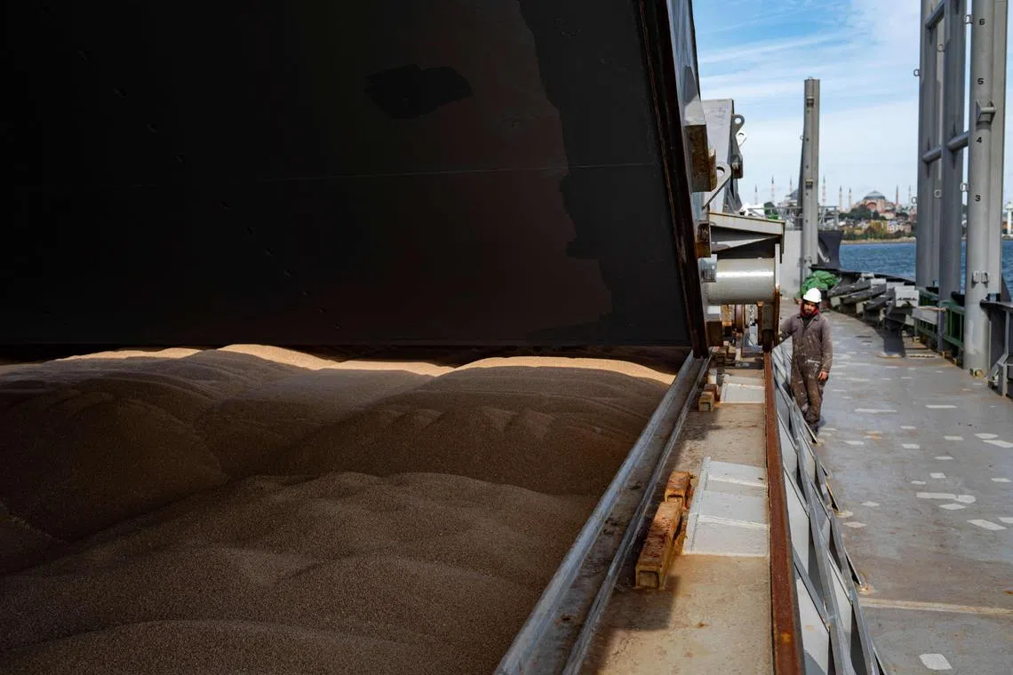 Russia suspended its involvement in the deal on Saturday, saying it could not guarantee safety for civilian ships crossing the Black Sea.