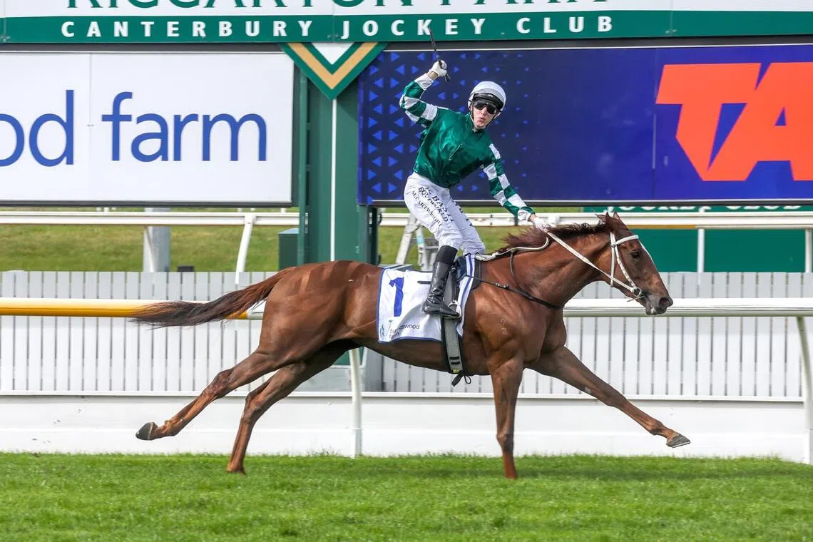 nzguineas09 - Jockey Matt Cartwright punches the air in delight as he steers rising star filly Well Written to a resounding win in the Group 1 New Zealand 1000 Guineas (1,600m) at Riccarton on Nov 8.


