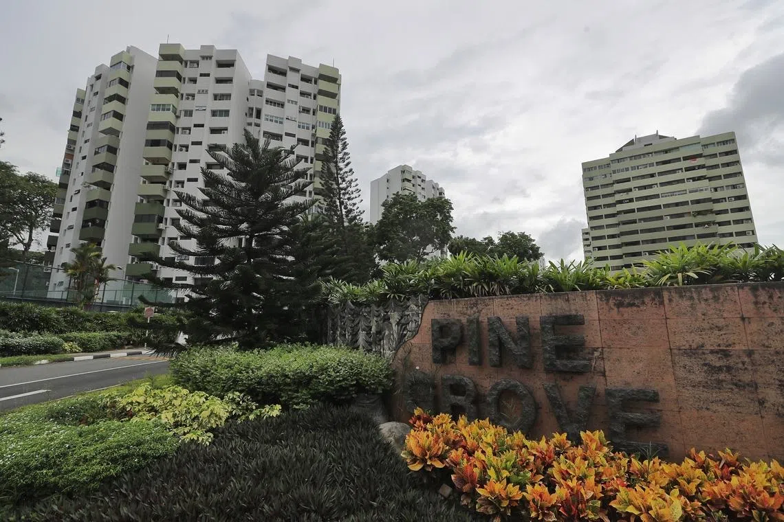 Some Pine Grove owners raise legality concerns as estate attempts 5th ...