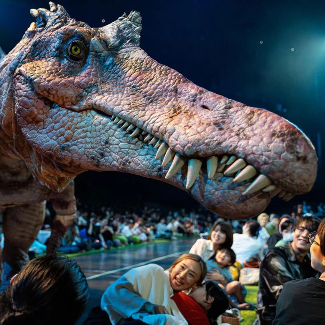 ST subscribers can enjoy a special bundle for $89 (worth $542) to Dino-A-Live: Dinosaur Odyssey show, running from Dec 3 to 6.