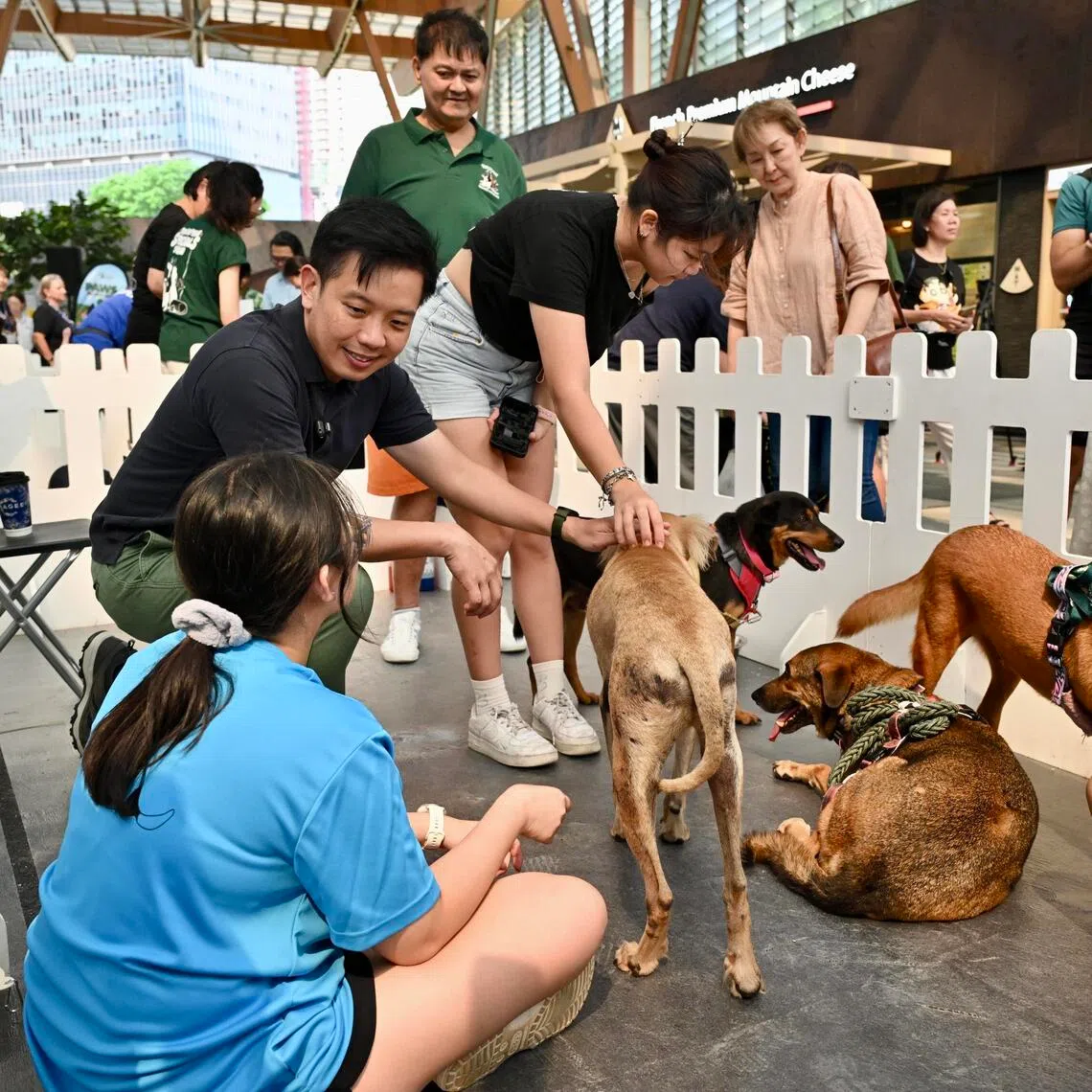 Minister of State for National Development and Foreign Affairs Alvin Tan at the Paws in the City event on Aug 28.