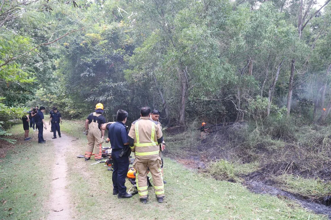 A fire broke out at Tampines Eco Green at about 4.35pm on Monday. 