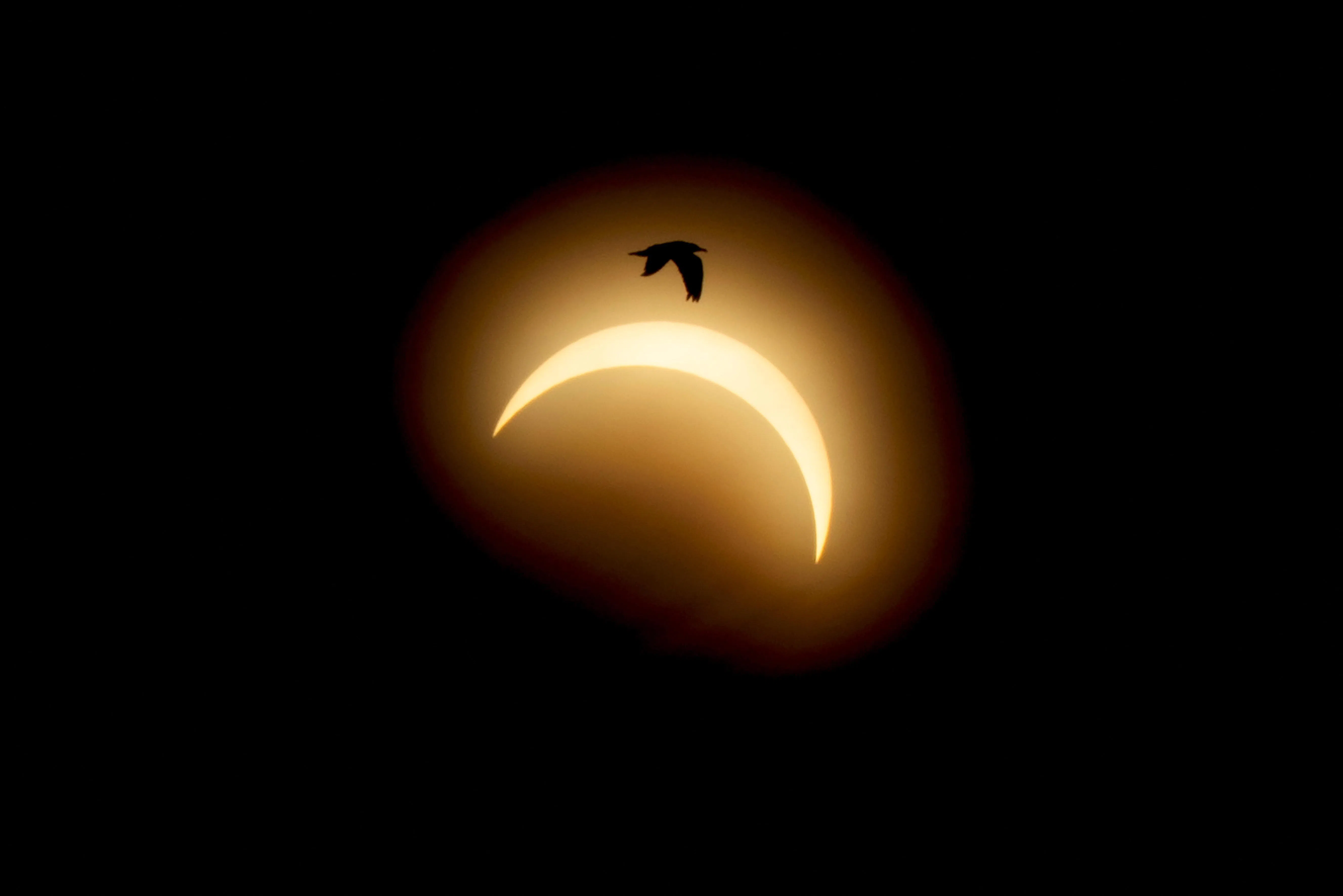 Solar eclipse in Denmark at Mariager, August 12, 2026. Ritzau Scanpix/via REUTERS    ATTENTION EDITORS - THIS IMAGE WAS PROVIDED BY A THIRD PARTY. DENMARK OUT. NO COMMERCIAL OR EDITORIAL SALES IN DENMARK.     TPX IMAGES OF THE DAY