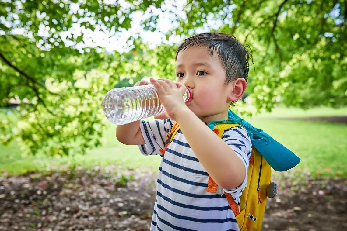 echot21 - Close-up of one little boy drinking water under the tree.