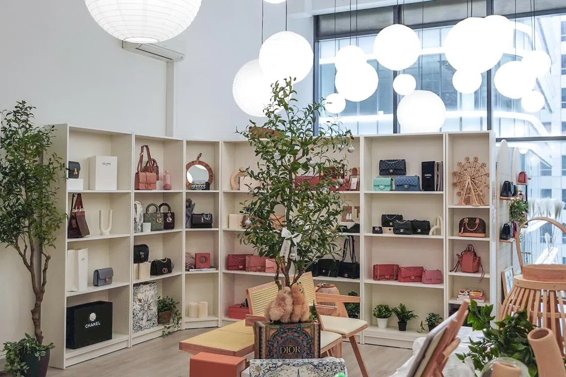 acvintage27 - Preloved luxury store Loveholic's showroom_pic credit LOVEHOLIC

under Life