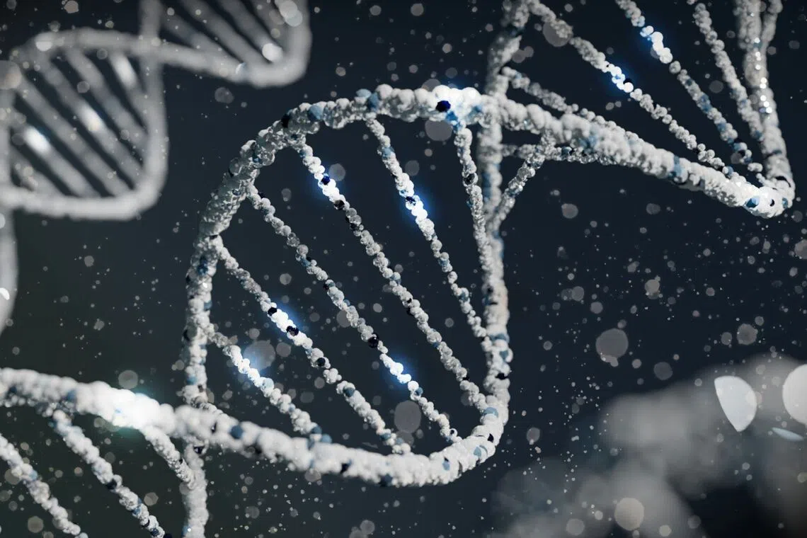 Gene therapy Casgevy is based on CRISPR gene editing technology, which uses molecular "scissors" to trim faulty parts of genes.