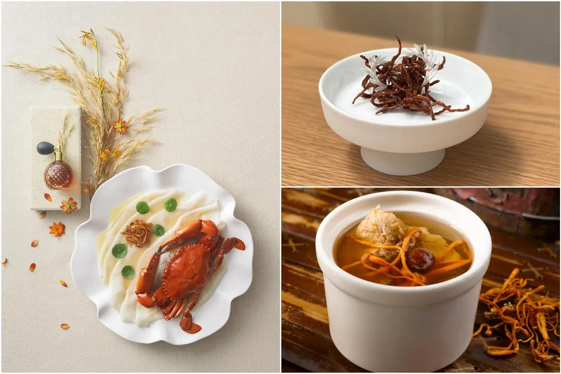 The ingredient, which is actually a type of mushroom, is showing up as snacks and in soups and pasta dishes.