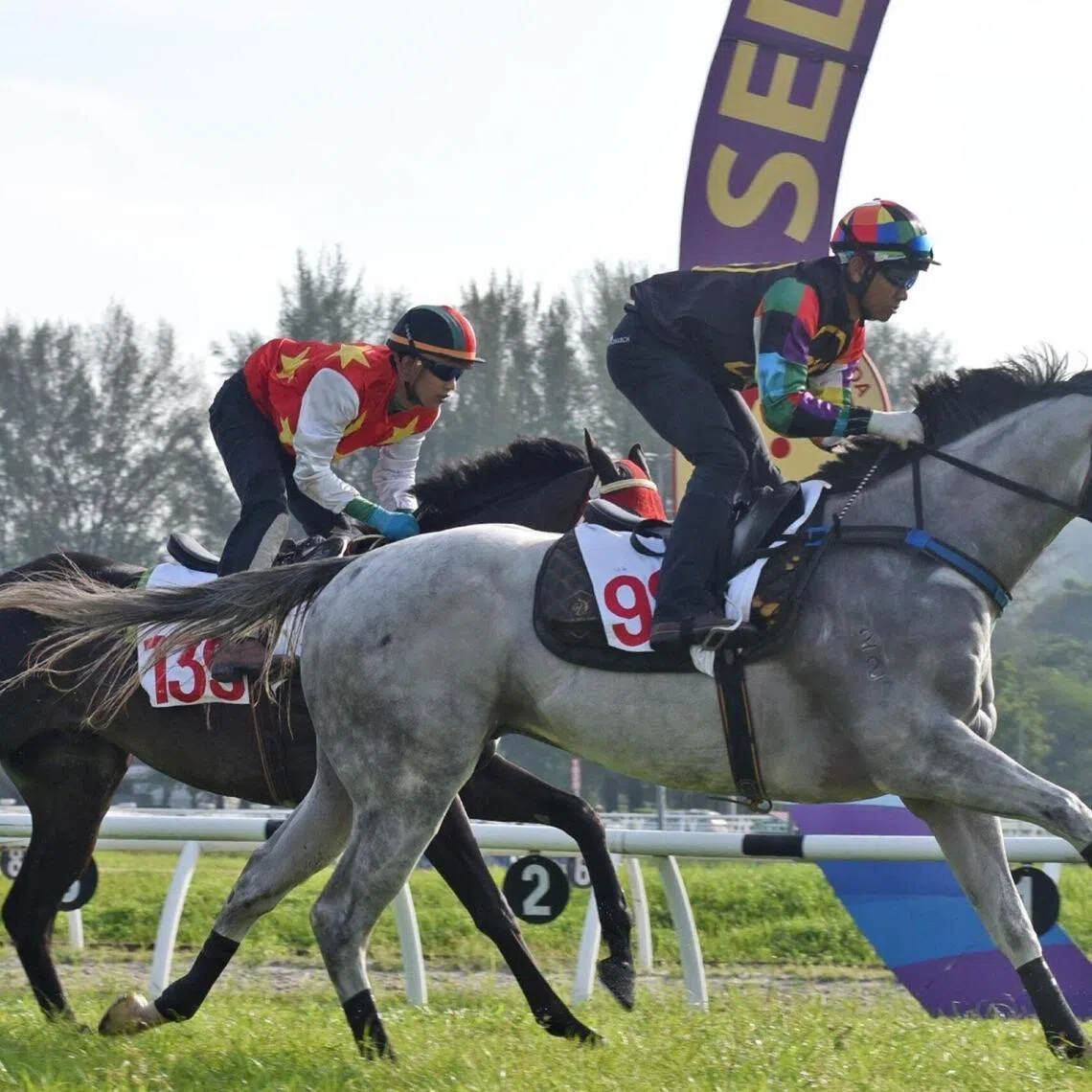 Mega Maximus - Mega Maximus


PHOTO: SELANGOR TURF CLUB
