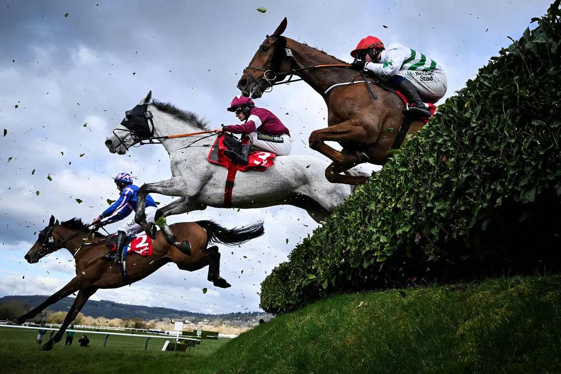 TOPSHOT - Jockeys and their horses compete in the Cross Country Chase, the fourth race on the second day of the Cheltenham Festival at Cheltenham Racecourse, in Cheltenham, western England on March 12, 2025. (Photo by JUSTIN TALLIS / AFP)