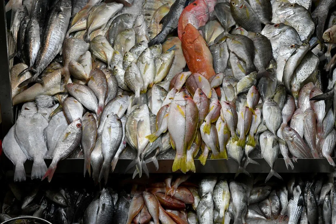 ST20200517-202050873174-Lim Yaohui/ Generic photograph of different types of fish for sale at wet market of Tekka Centre on May 17, 2020. Can be used for stories on fish, seafood, meat, market, farm, diet, food, sale, money, and business. (ST PHOTO: LIM YAOHUI)