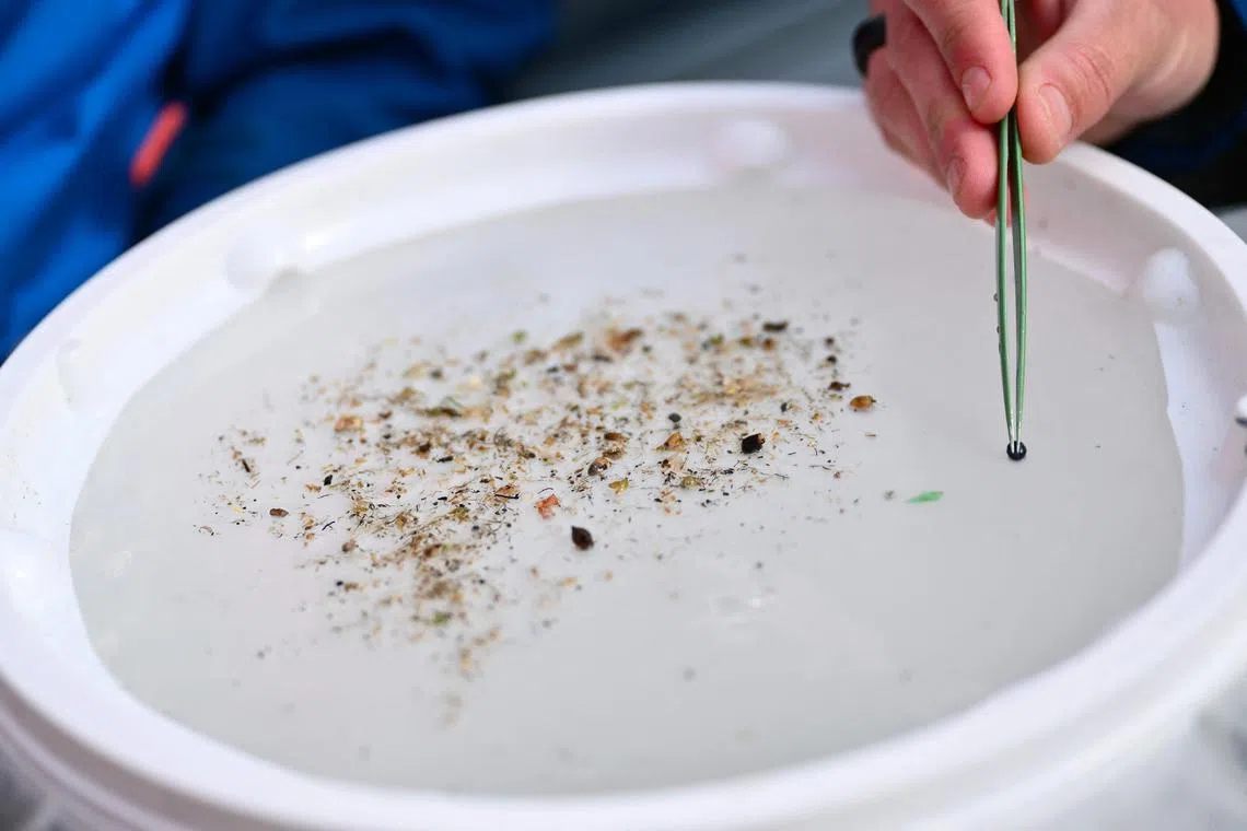 A researcher inspects pieces of microplastic collected from the River Rhone in Arles, southern France.