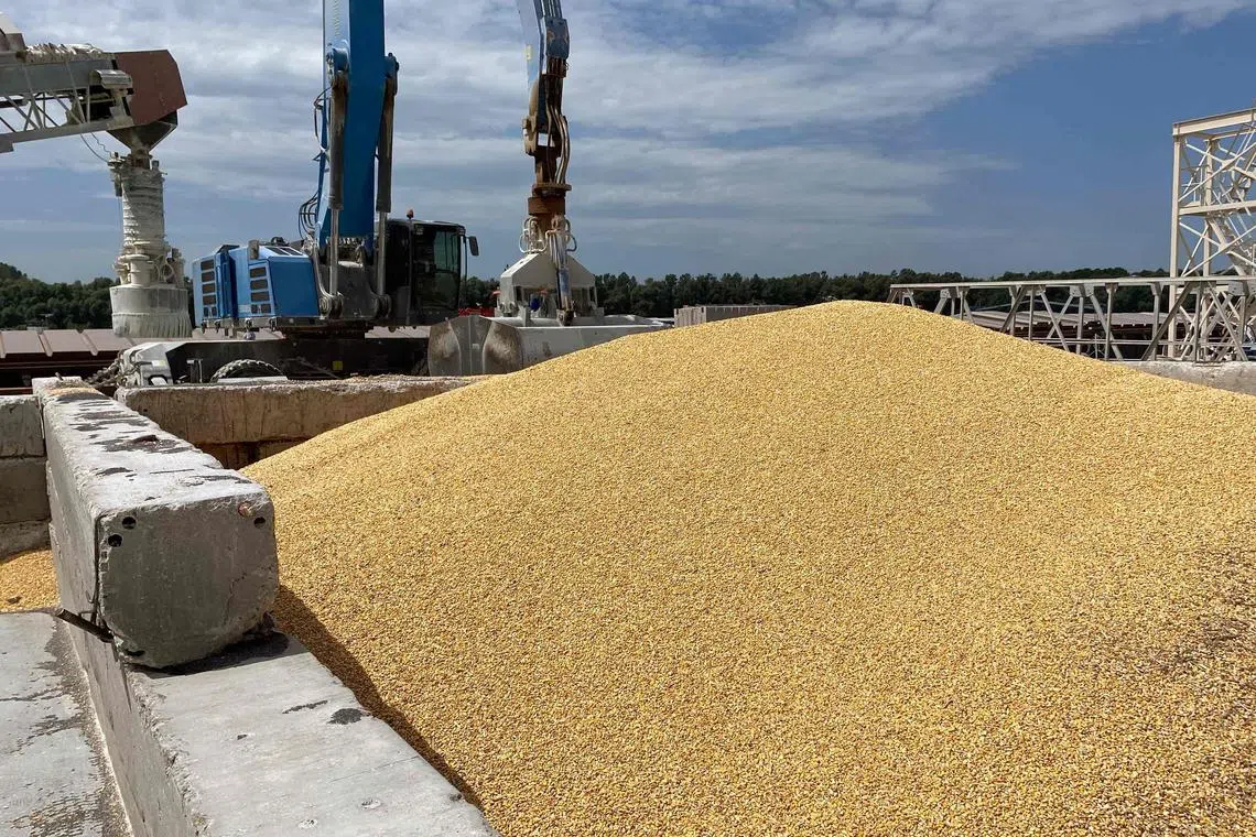 Russia began targeting Ukrainian ports and grain infrastructure after pulling out of a deal that allowed the safe Black Sea export of Ukraine grain.