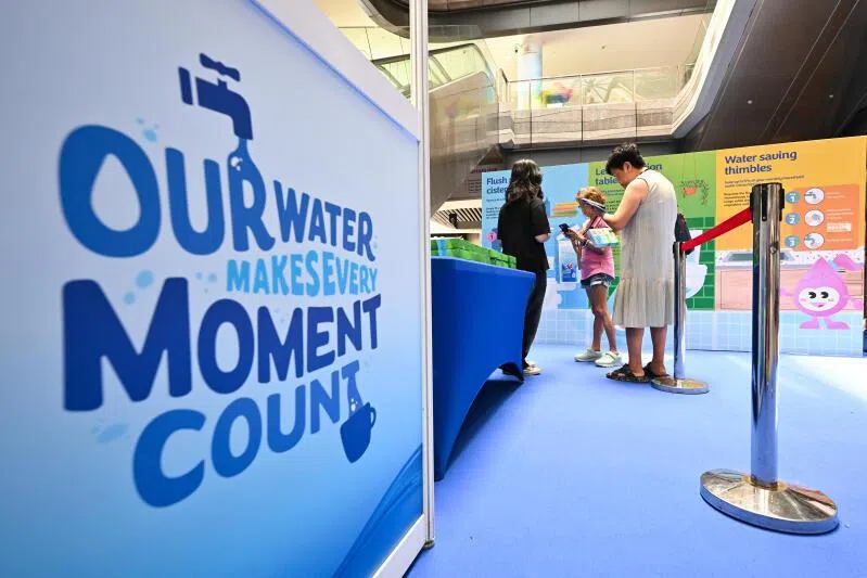 Going forward, water security will come at a higher price. Singapore needs to not just bolster supply but also manage demand.