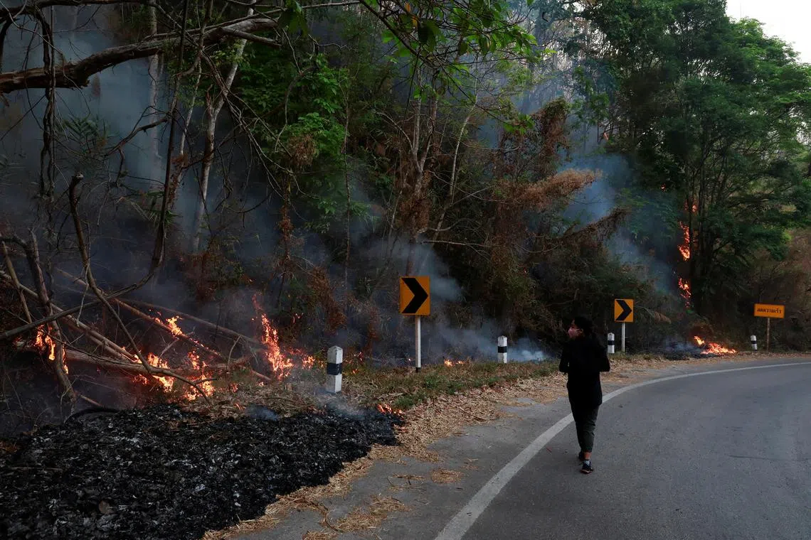 FILE PHOTO: A journalist wears mask near a forest fire in Samoeng District, Thailand April 4, 2019. REUTERS/Soe Zeya Tun/File Photo