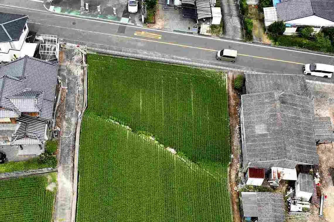 Security footage in Japan captures moment rice paddy cracks during Kumamoto earthquake