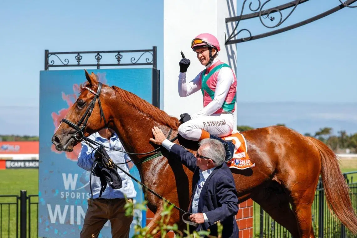 See It Again will be the horse to beat in the Grade 1 HKJC World Pool Premier's Champions Challenge (2,000m) at Turffontein on April 4.
