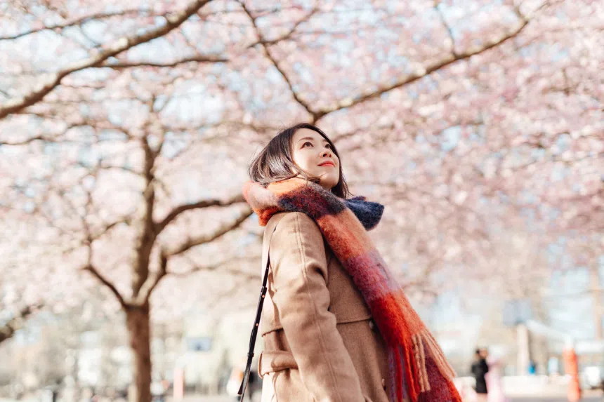 Best 2.2 sale: Travel deals