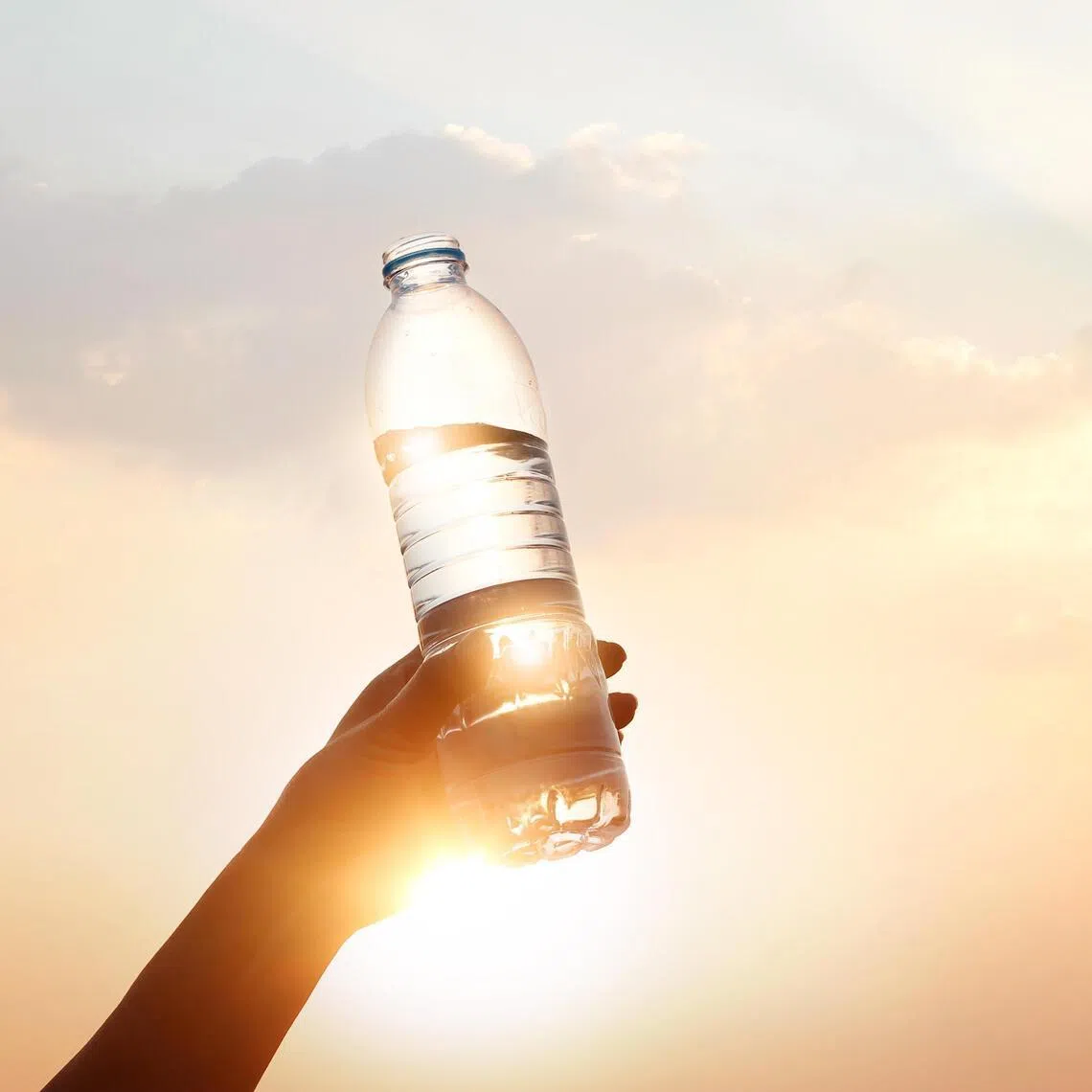 Some four billion people – half the world’s population – face water scarcity.