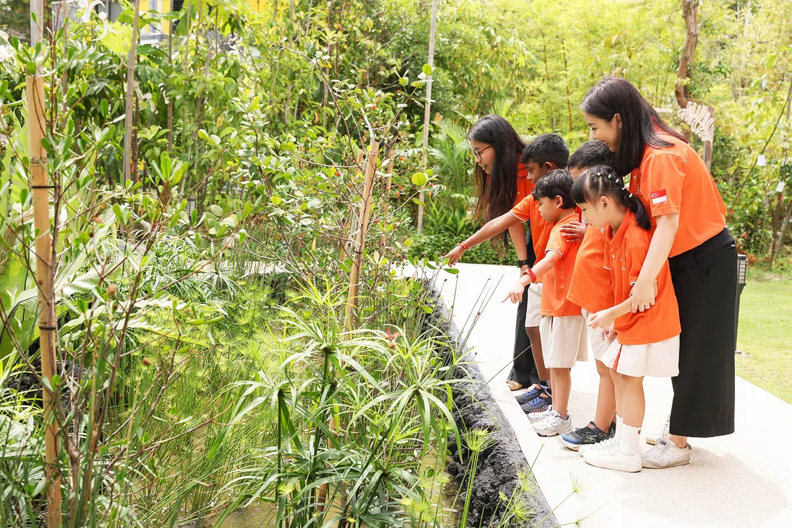 Estudiante-A-Microbosque