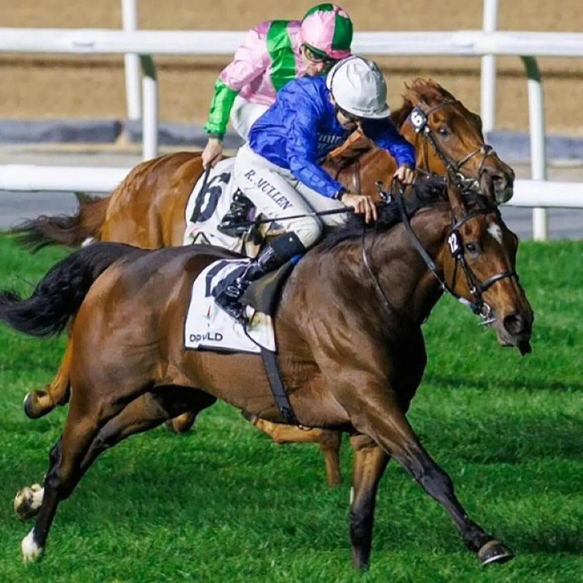 hkprev11 - Mothecombe


PHOTO: DUBAI RACING CLUB