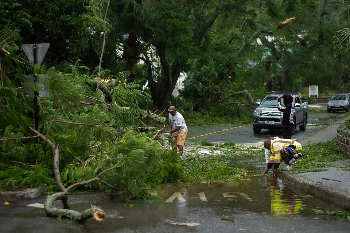 Locals dismember a fallen Poinciana tree that obstructed a main roundabout after Hurricane Ernesto passed Hamilton, Bermuda August 17, 2024. REUTERS/Nicola Muirhead