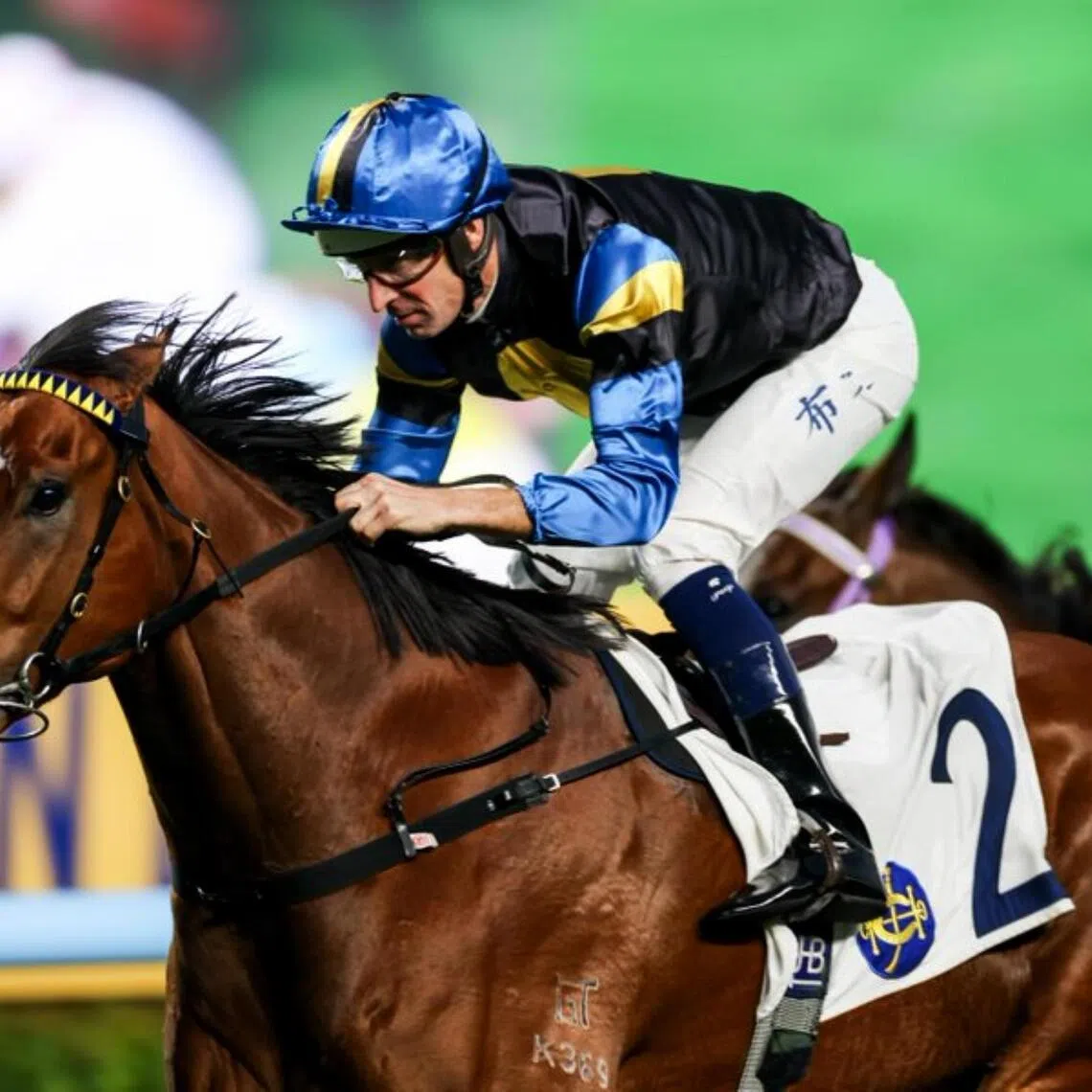 Infinite Resolve (Hugh Bowman) at his only win in the Class 3 Cha Kwo Ling Handicap (1,200m) at Sha Tin on New Year's Day. French jockey Alexis Badel will partner the Mark Newnham-trained son of Snitzel in the Hong Kong Classic Mile (1,600m) for four-year-olds at Sha Tin on Feb 1.